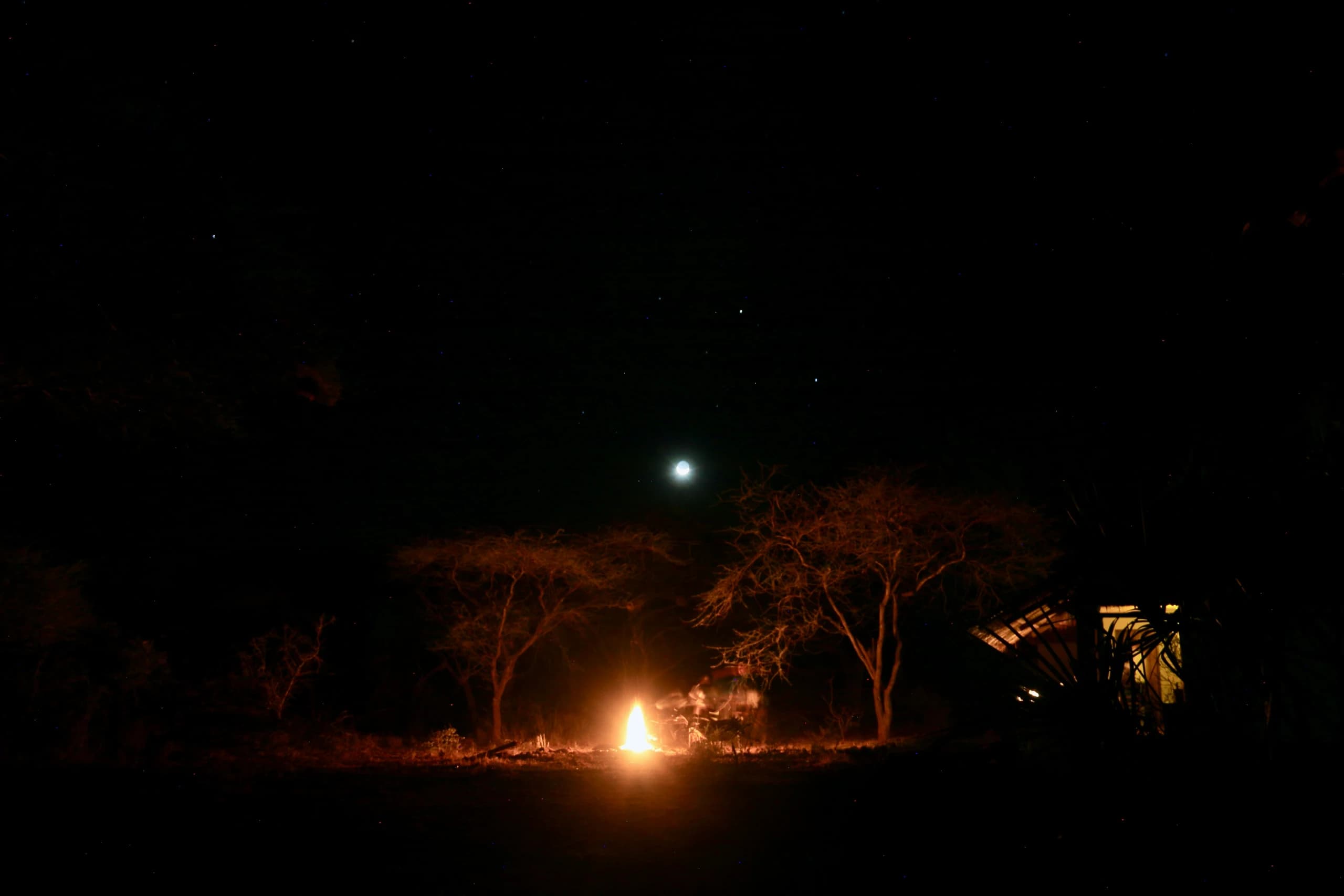 Night Safari