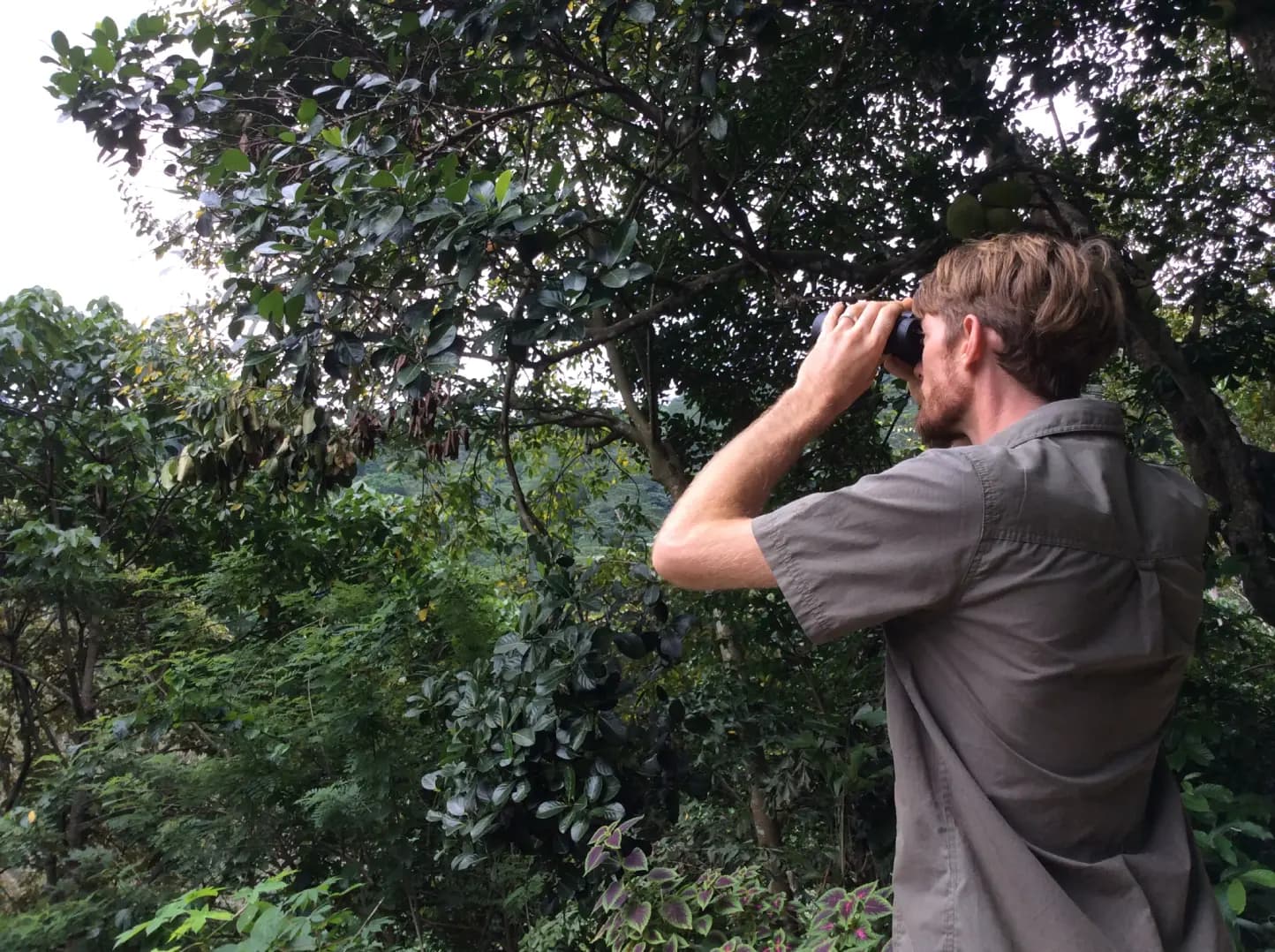 Wildlife & Bird Watching